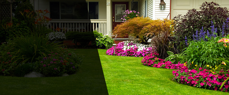 Mount Carmel Landscapers